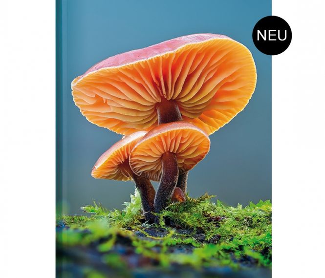 Hovedbilde Poetry Skrivebok - Mushroom