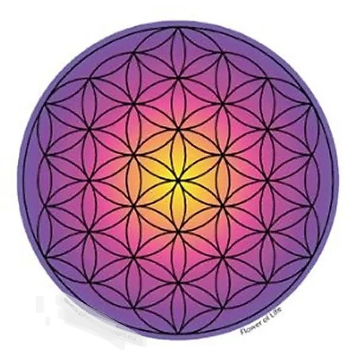 Flower of Life Lilla Sticker